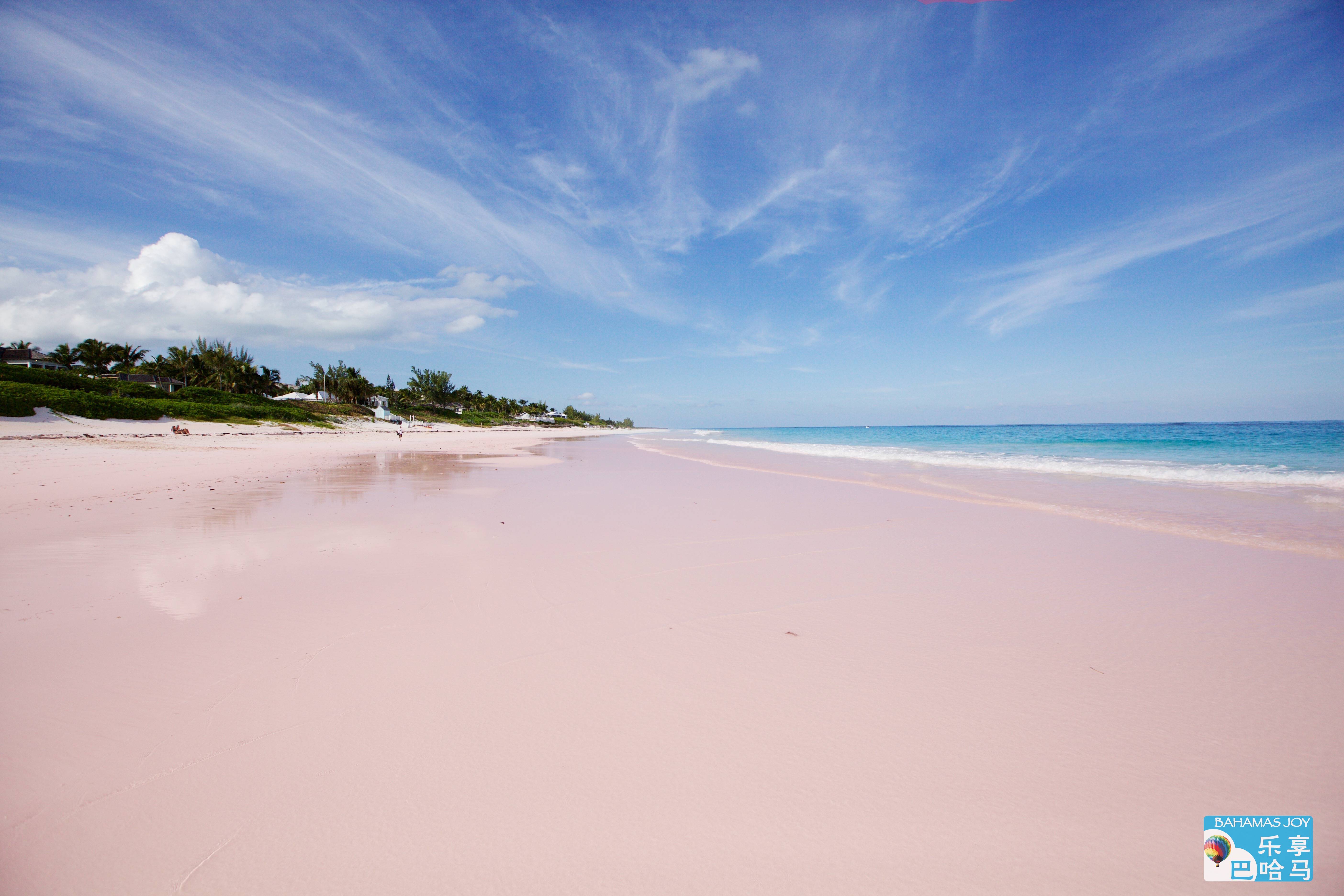 巴哈马🇧🇸闻名全球的粉色沙滩（Pink Sands Beach）位于加勒比