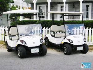 golfcart1